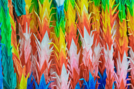 rainbow-poligami
