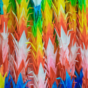rainbow-poligami